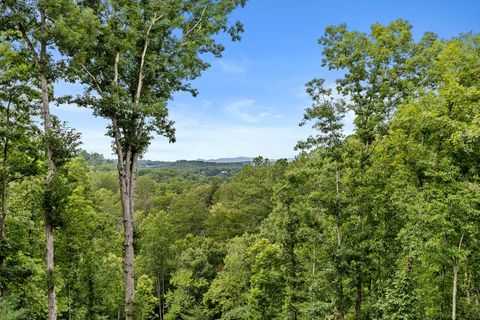 A home in Blue Ridge