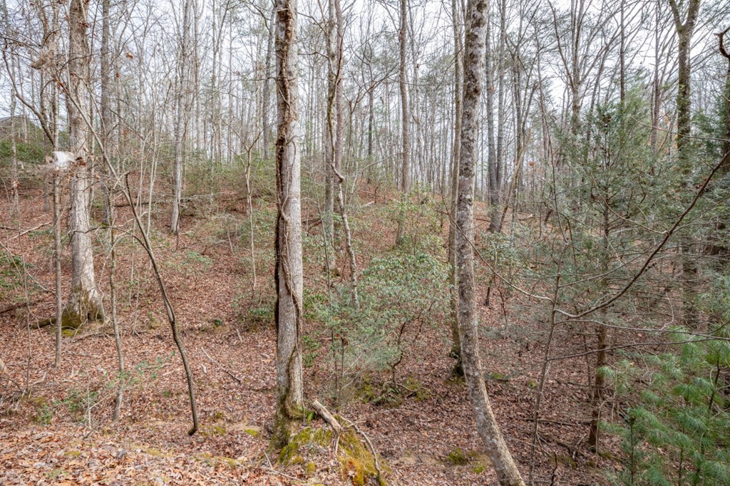 454, 455 Seneca Drive