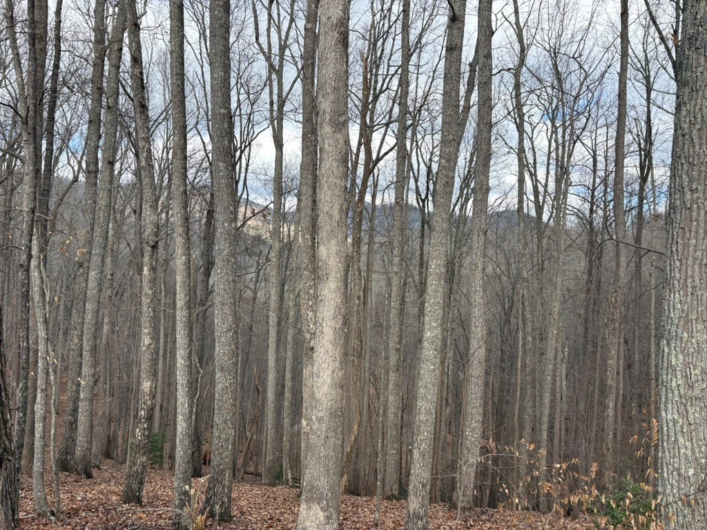 TRACT 3 Doc Thomas Ridge Road