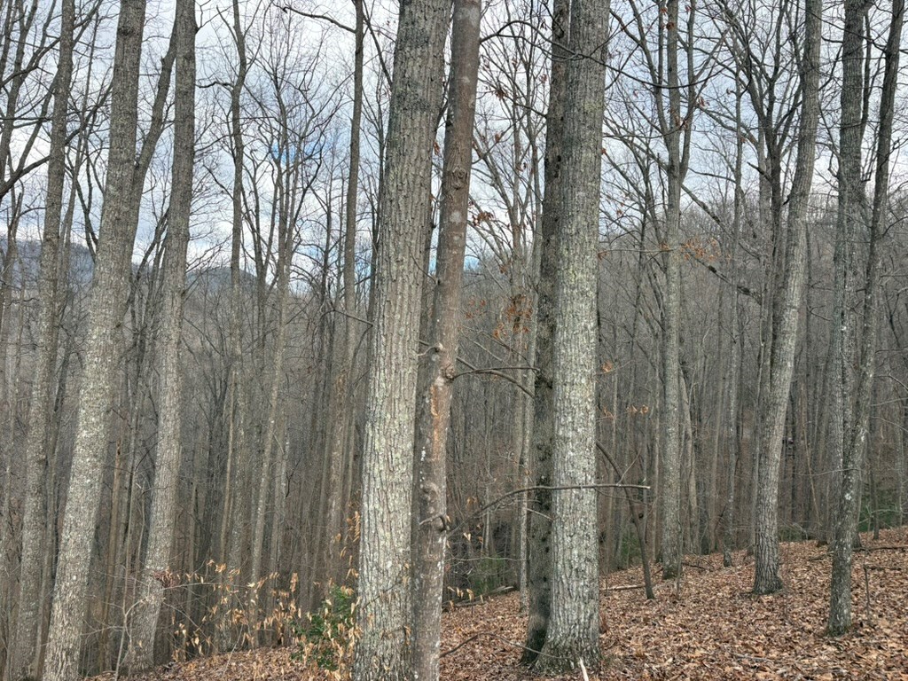 TRACT 3 Doc Thomas Ridge Road