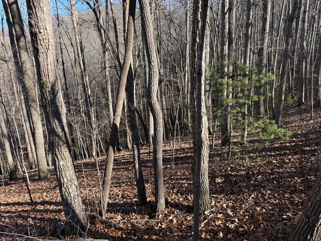 TRACT 3 Doc Thomas Ridge Road