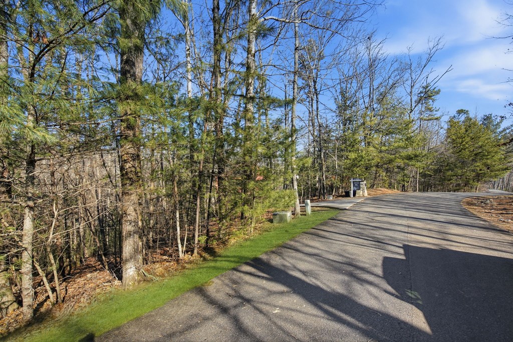 LOT 18 Dover Highlands Trail