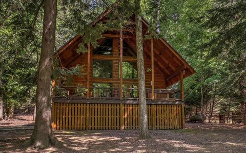 343 Muller Lane Ellijay GA 30540