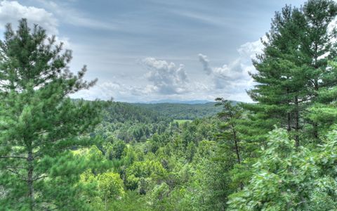 LT 22 Rolling Hills Drive Morganton GA 30560