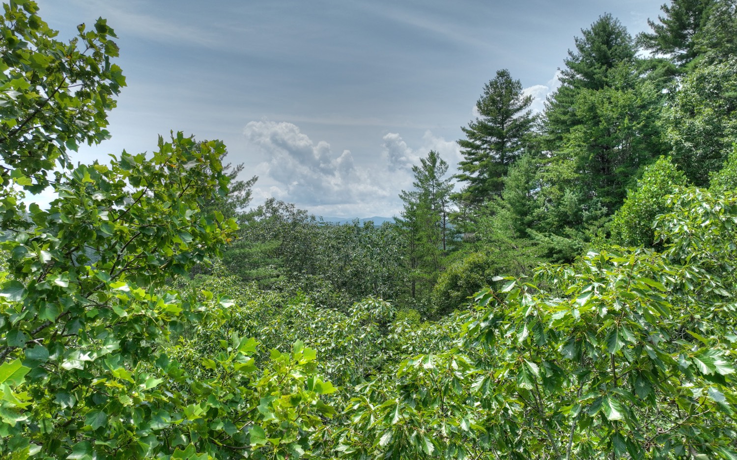 LT 22 Rolling Hills Drive