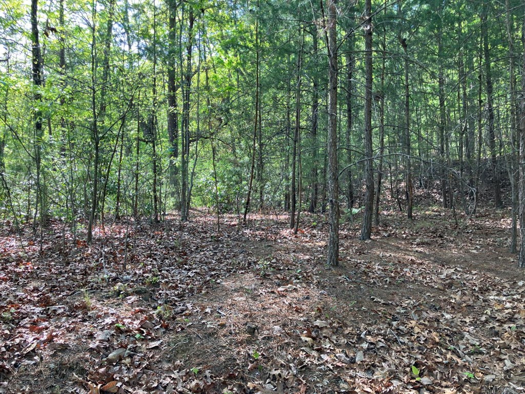 LT24 Mission Ridge Court