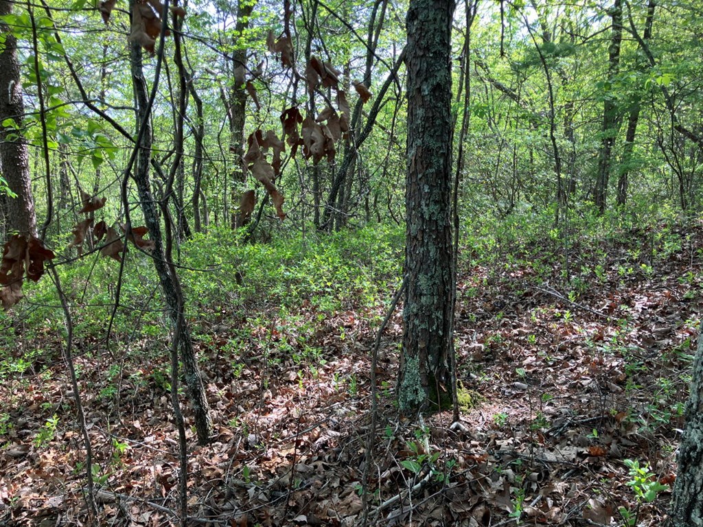 LT24 Mission Ridge Court