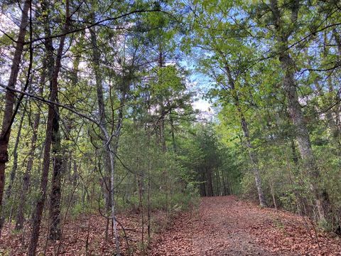 LT24 Mission Ridge Court Hayesville NC 28904