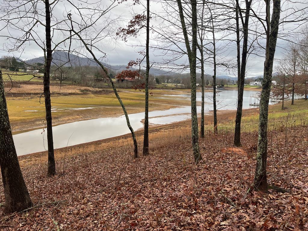 Lot 24 Arden Lane