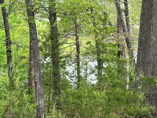 Lot 24 Arden Lane