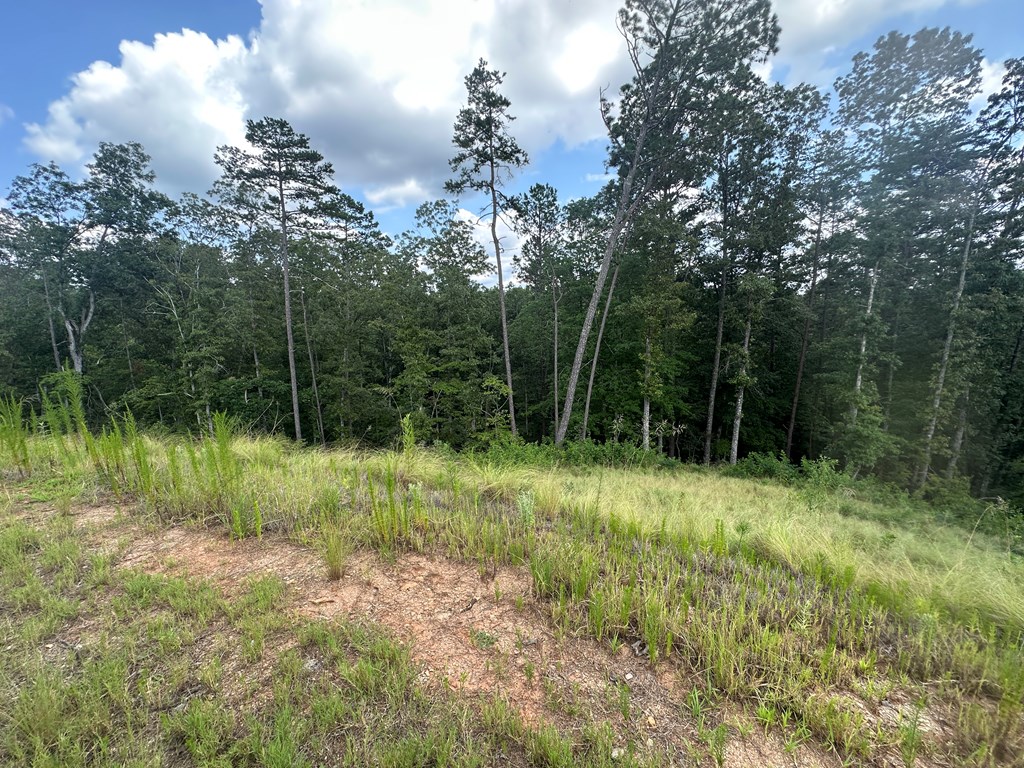 Lot 244 Spear Point Dr