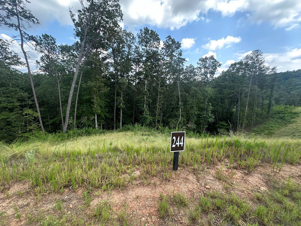 Lot 244 Spear Point Dr