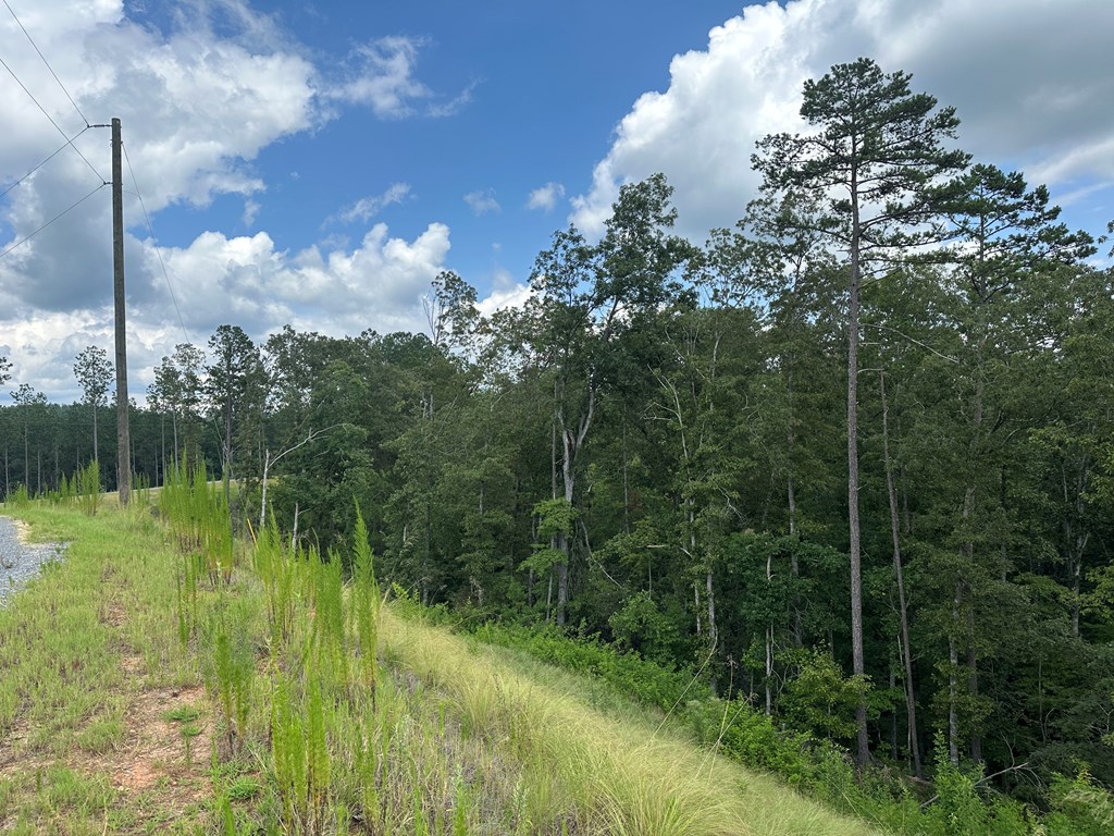 Lot 244 Spear Point Dr