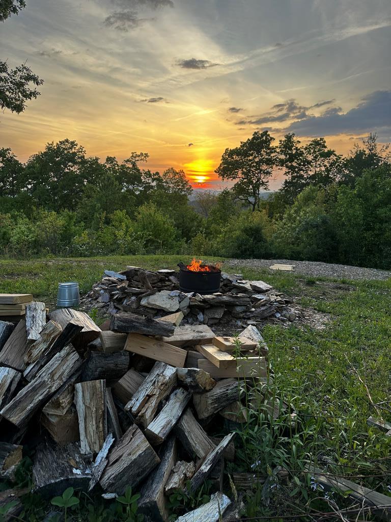 981 Sunset Lane