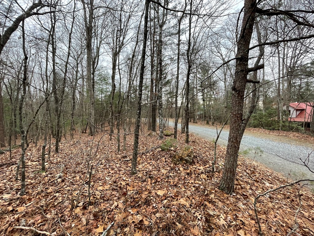 Lot 40 Squirrel Hunting Road