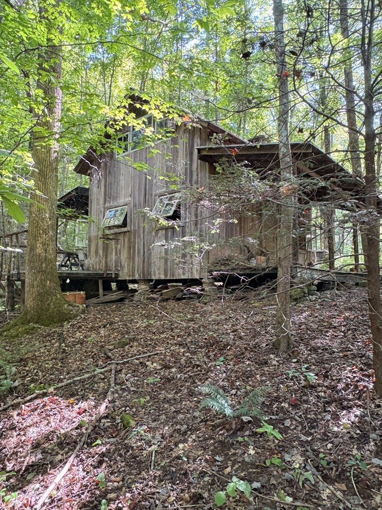 Trt 1 Forest Cove Trail