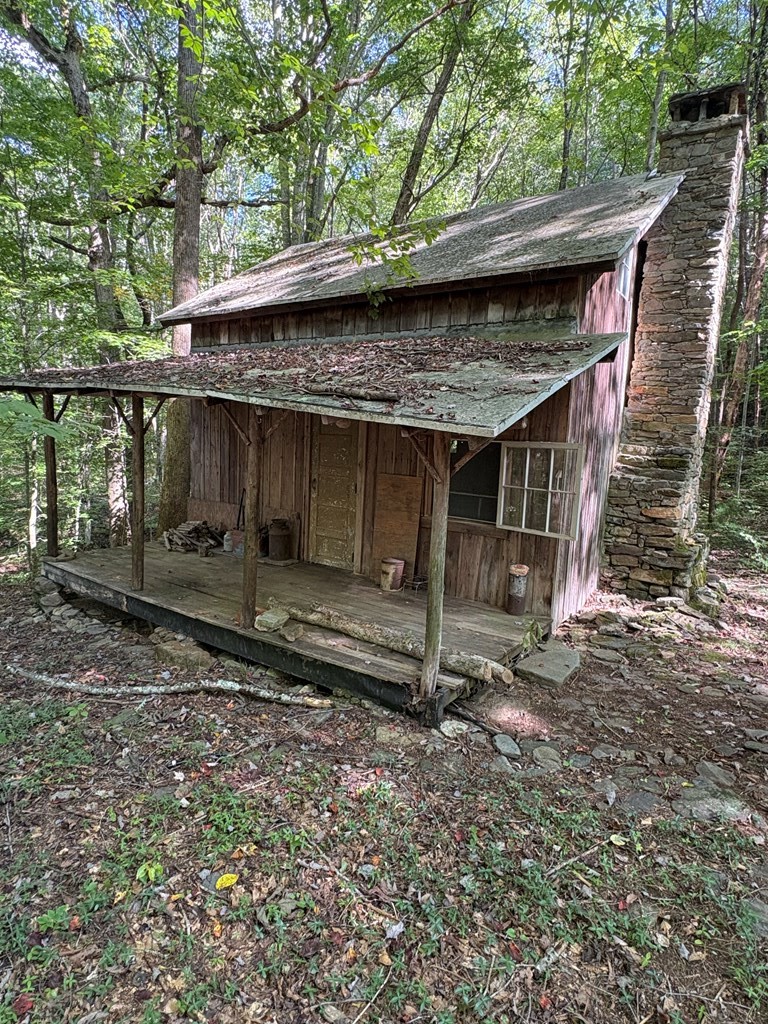 Trt 1 Forest Cove Trail