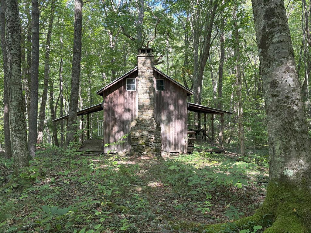 Trt 1 Forest Cove Trail