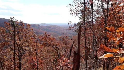 Lot 109B Folkstone Road Talking Rock GA 30143