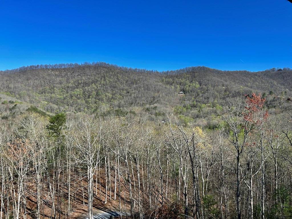 445 Tranquil Cove Road