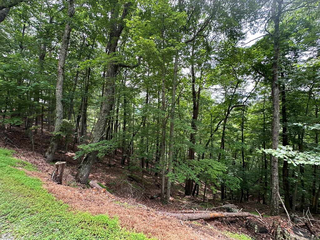 Lot A28 Laurel Ridge