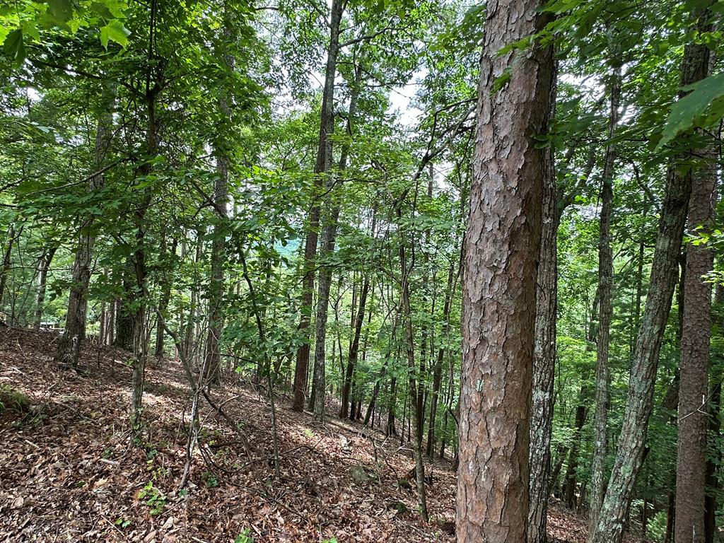 Lot A28 Laurel Ridge