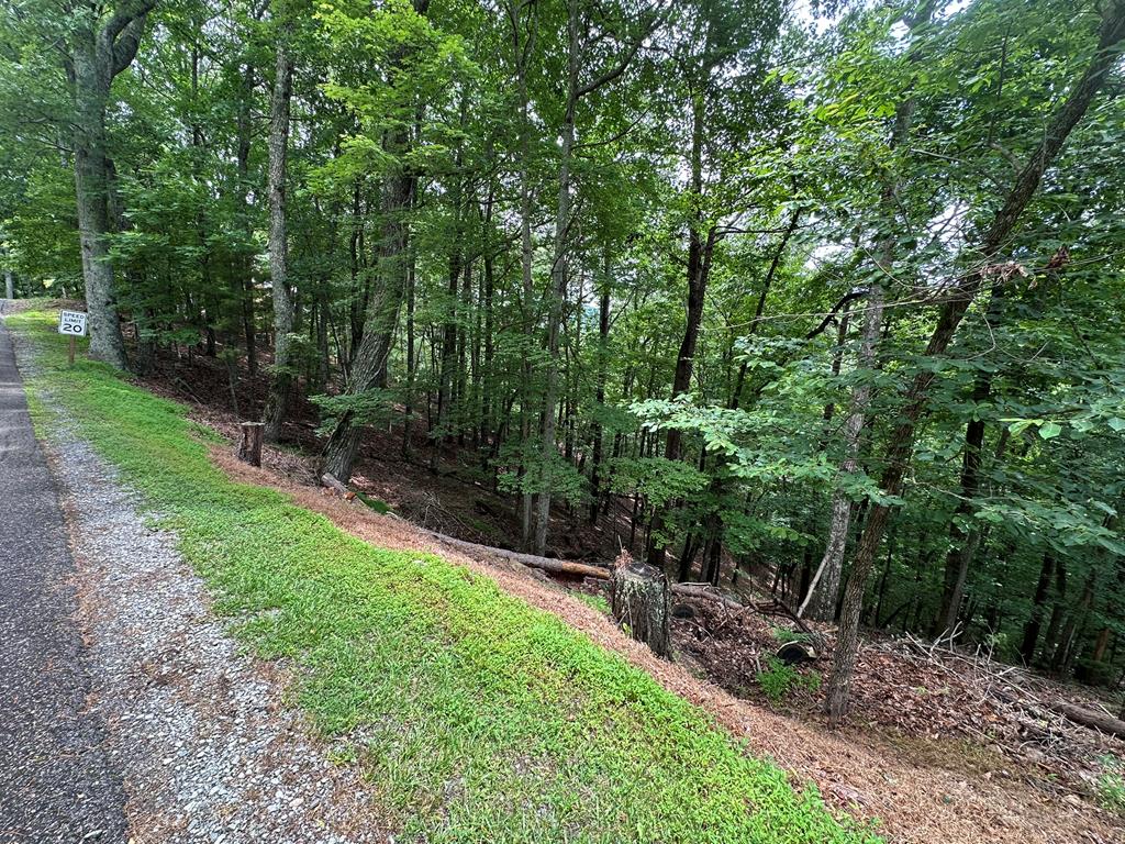 Lot A28 Laurel Ridge