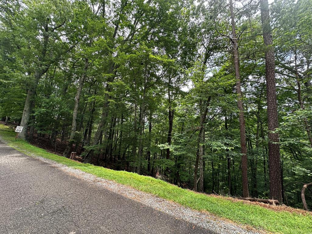 Lot A28 Laurel Ridge
