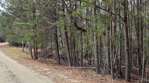Lot 25 Pine Log Circle Warne NC 28909