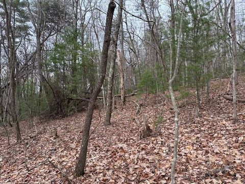 Lot 9 Marjorie Avenue Ellijay GA 30536