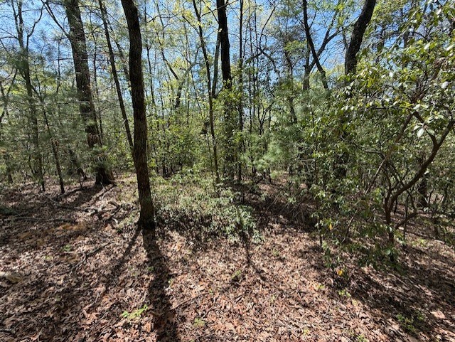 Lot 9 Marjorie Avenue