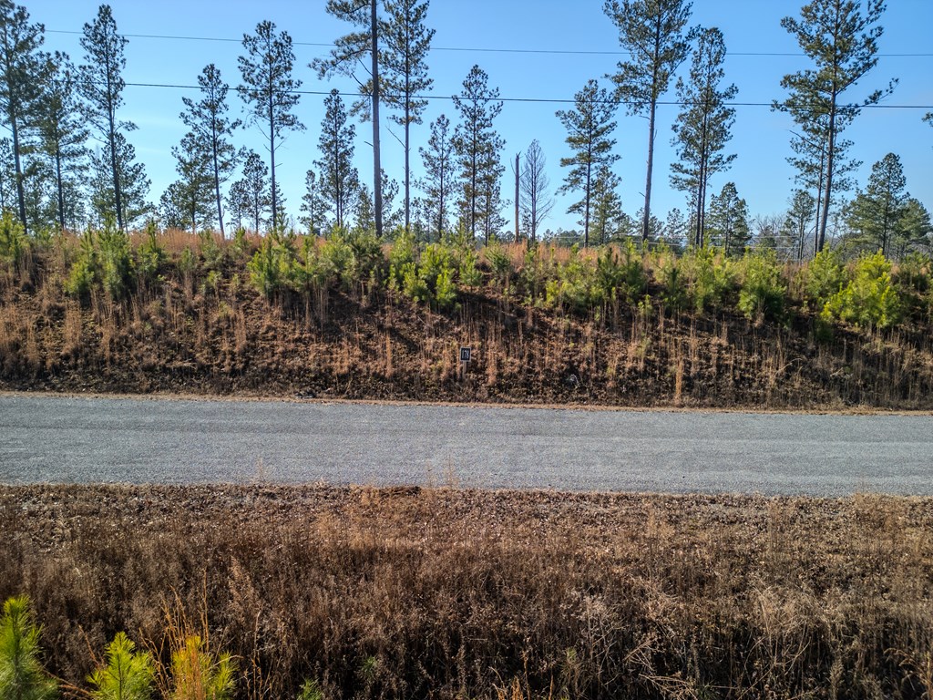 lot 178 Vista Creek Drive