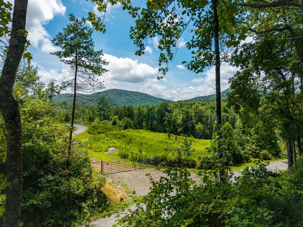 2.31Acre Higdon Creek Road
