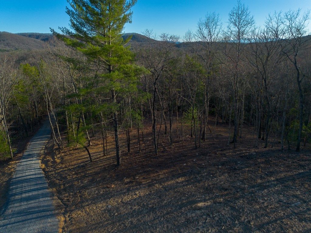listing image 62