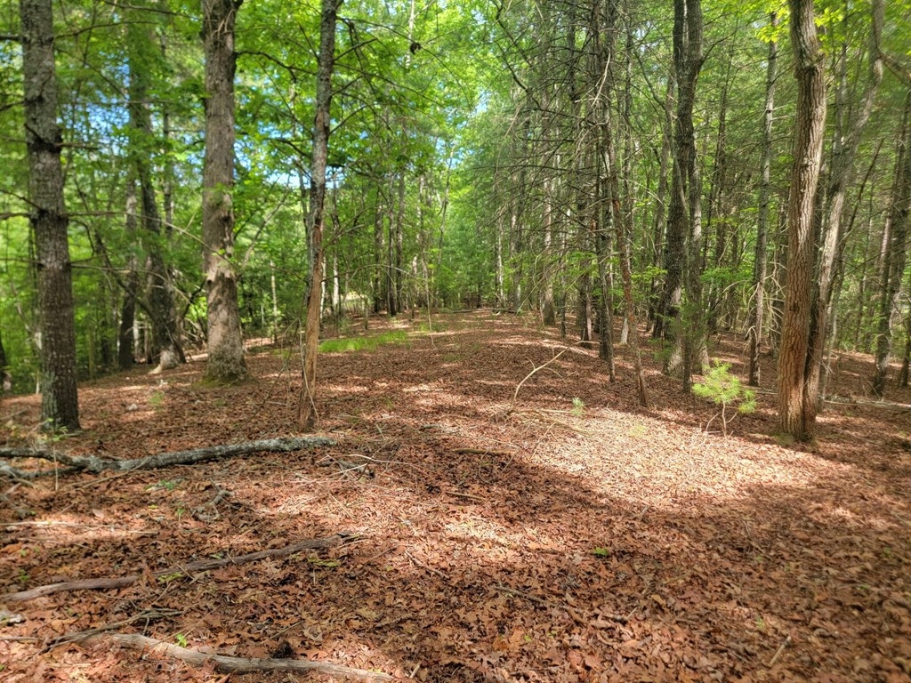 Lot 44 Sugar Maple Lane