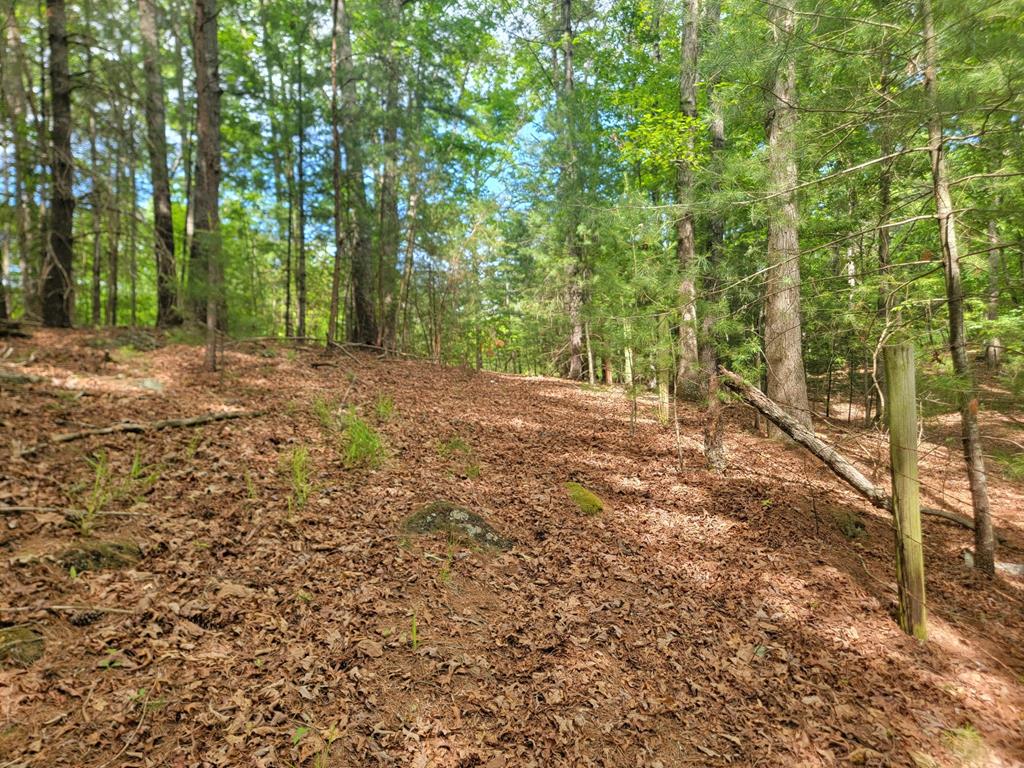 Lot 44 Sugar Maple Lane
