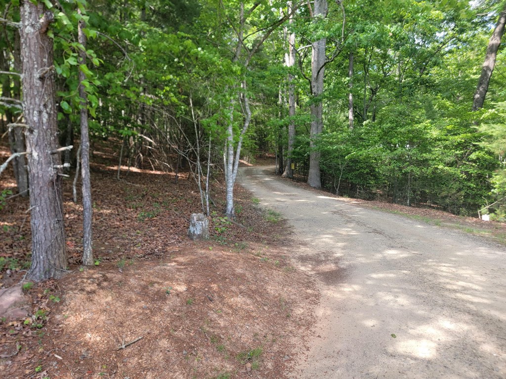 Lot 44 Sugar Maple Lane