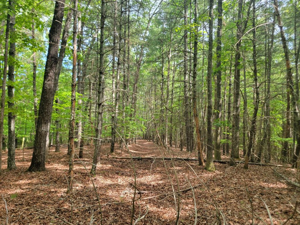 Lot 44 Sugar Maple Lane