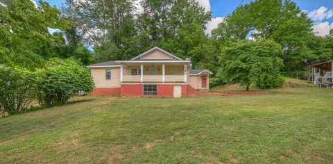 A home in Mineral Bluff