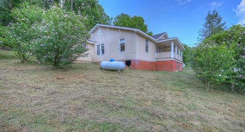 A home in Mineral Bluff