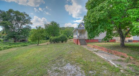 A home in Mineral Bluff