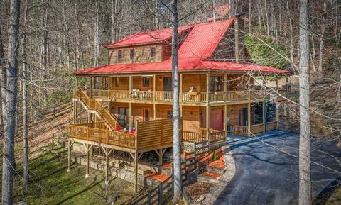 65 Jenkins Trail Blairsville GA 30512