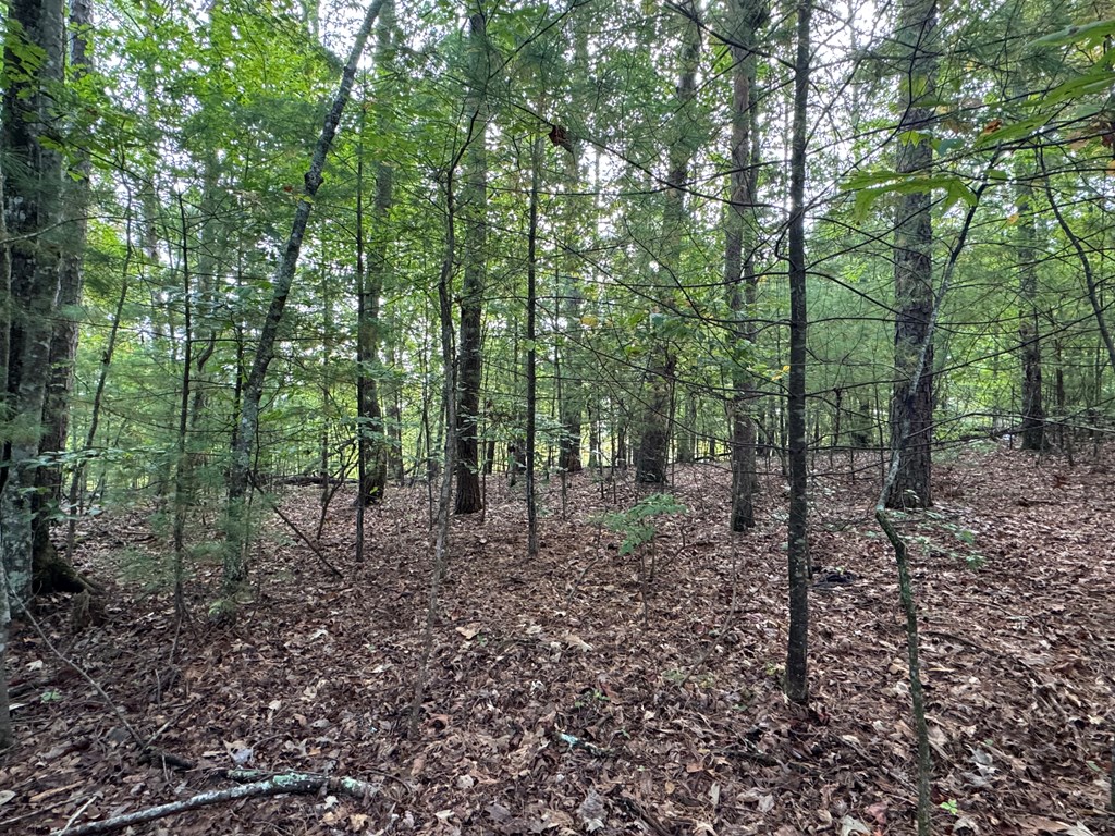 00 High Country Circle