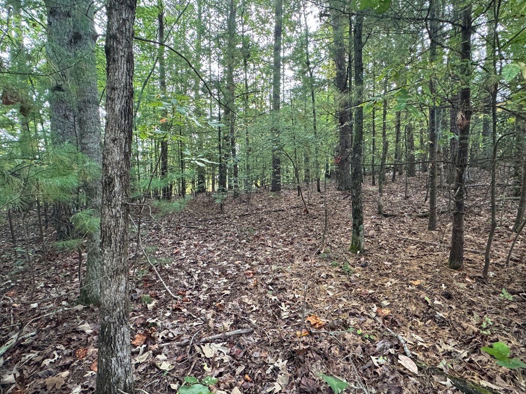 00 High Country Circle