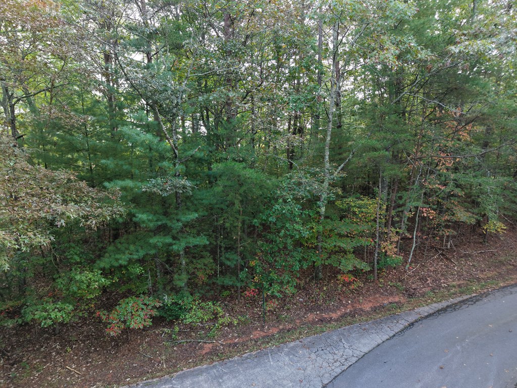 00 High Country Circle