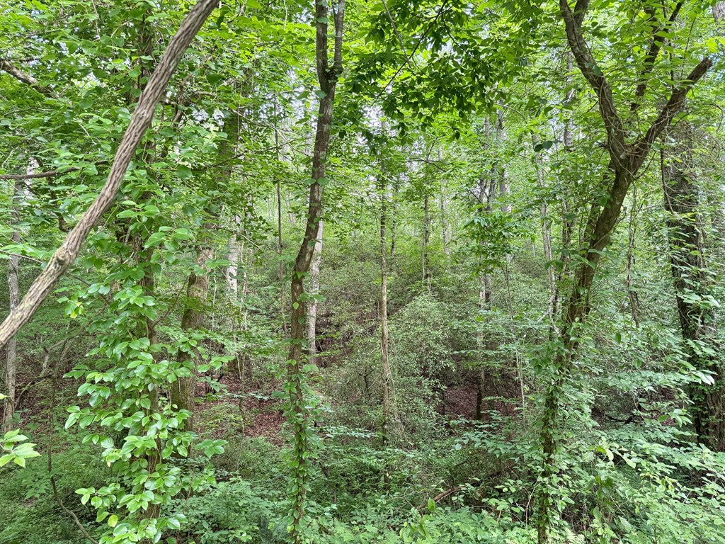 604 Nugget Lane