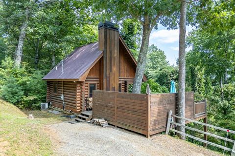 A home in Blue Ridge