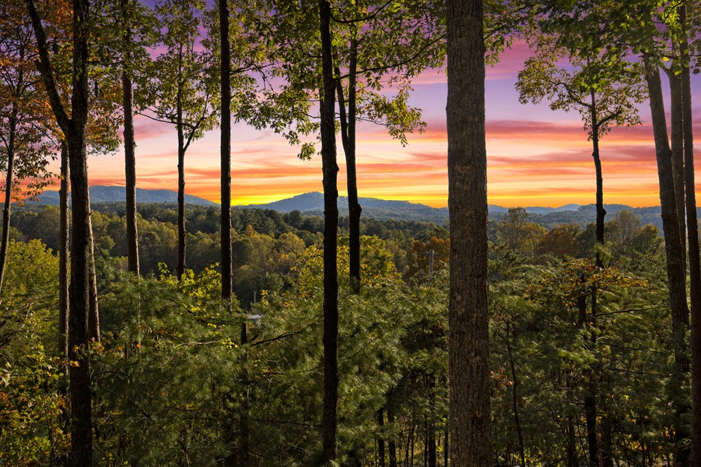 5240 Squirrel Hunting Road