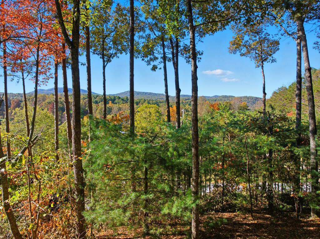 5240 Squirrel Hunting Road