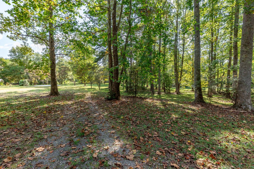 Lot 4,5 The Preserve On Nottely River